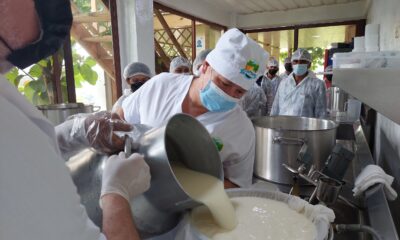 Producción de queso búfala en coclesito